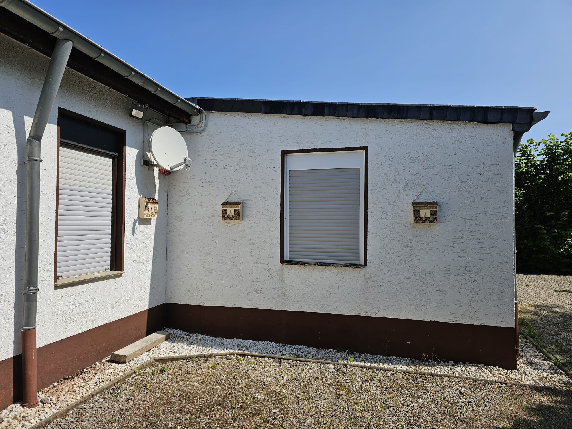 WhatsApp Image 2026-02-14 at 09.42.50